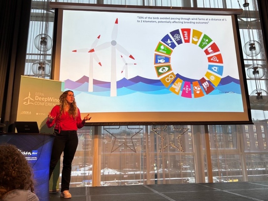 Dorothy Dankel SEADOTs at EERA DeepWind 2025