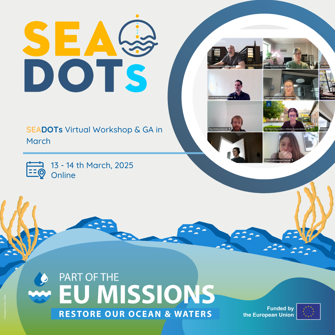 SEADOTs Virtual Workshop & 1st GA Meeting Advances Collaboration on Digital Ocean Management Solutions