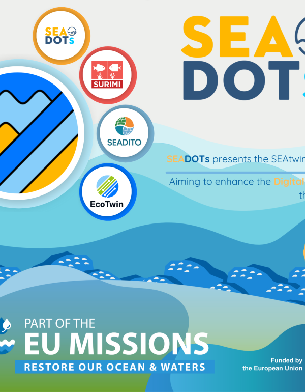 SEAtwins Cluster: Advancing Socio-Ecological Digital Twins of the Ocean