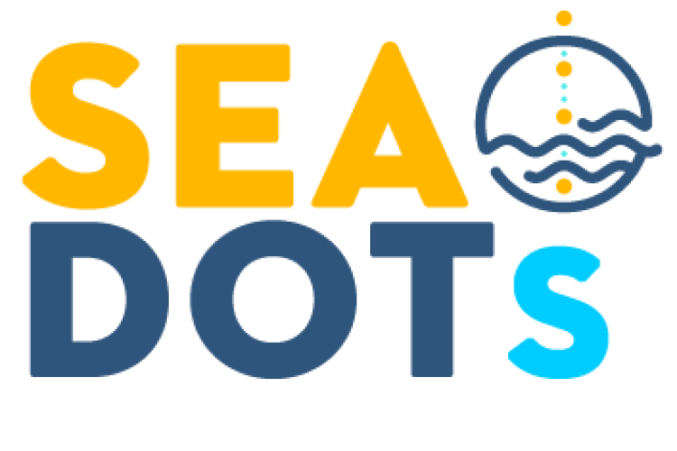 SEADOTs Logo