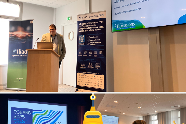 SEADOTs - Posts Template Final (17).png