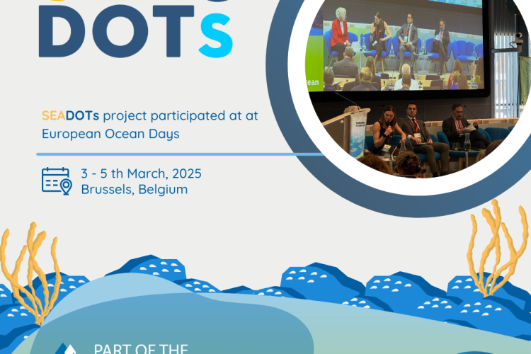 SEADOTs at European Ocean Days: Advancing Digital Innovation for Sustainable Ocean Management
