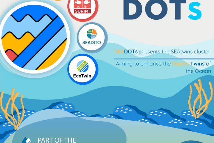 SEAtwins Cluster: Advancing Socio-Ecological Digital Twins of the Ocean