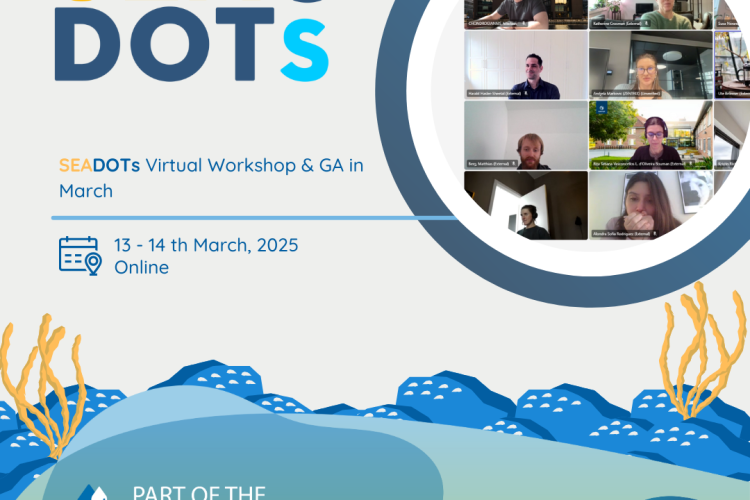 SEADOTs Virtual Workshop & 1st GA Meeting Advances Collaboration on Digital Ocean Management Solutions